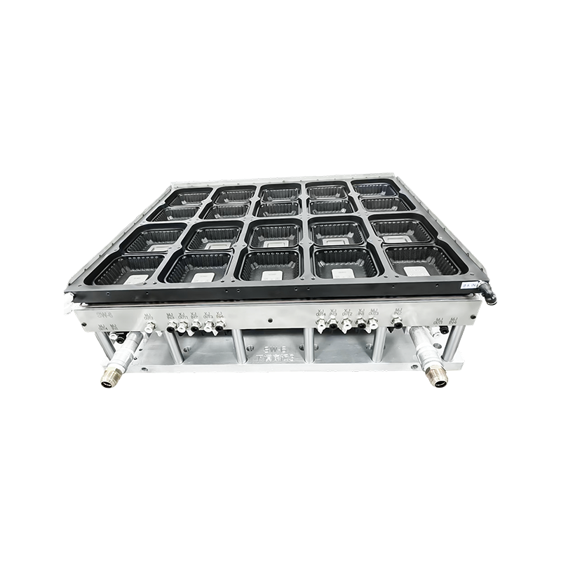 Circum Lidded Packaging Box Thermoforming Mold